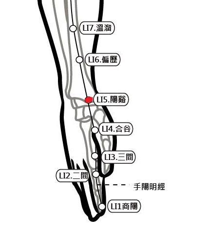 陽西穴|穴位保健─陽谿穴（調整心跳與血壓）